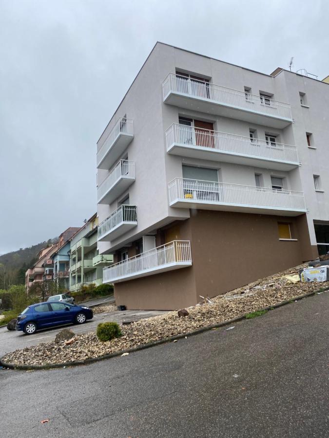 Logement Tout Confort 3 - Wifi - Parking Wissembourg Esterno foto